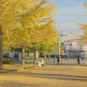 www污污在线看豆花
